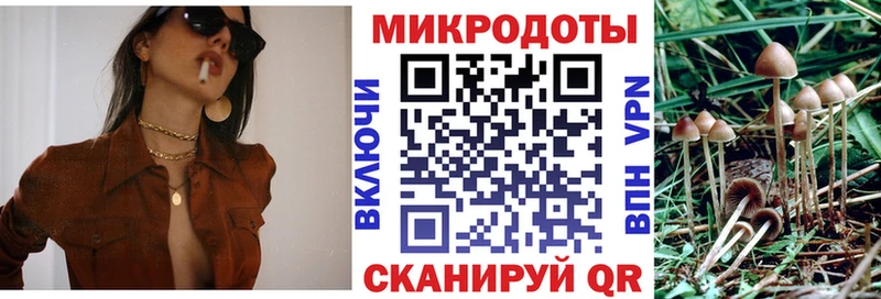 Галлюциногенные грибы Psilocybine cubensis  Ржев 